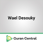 Wael Desouky